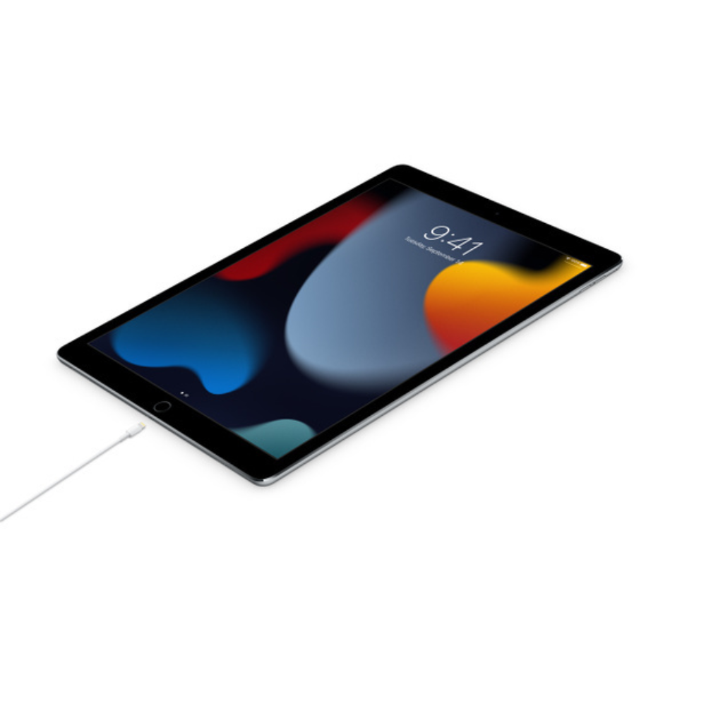 Cable Lightning To Type-C A1703 1.0M