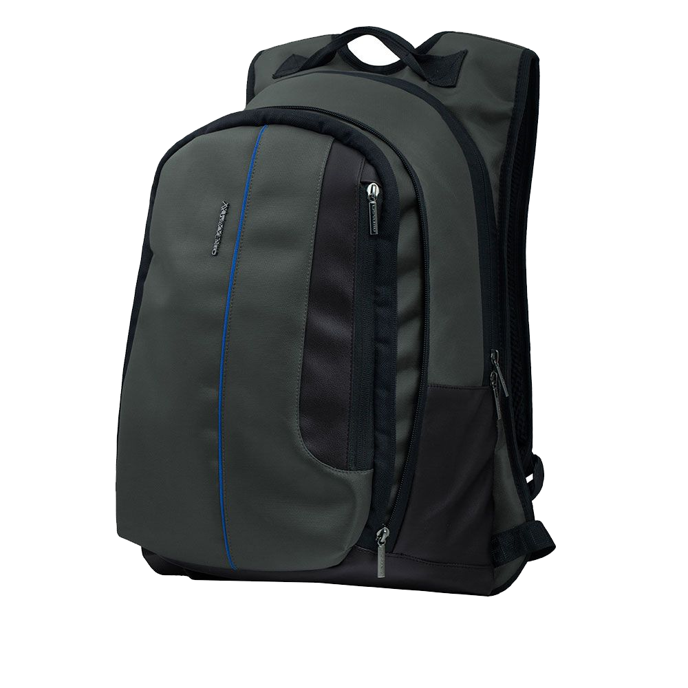 Lavvento BG613 15.6 Inch Laptop Backpack - Gray/Blue
