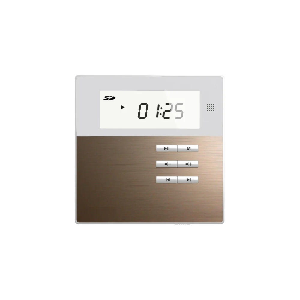 Dsppa M2W Amplifier With 2 Ceiling Speaker