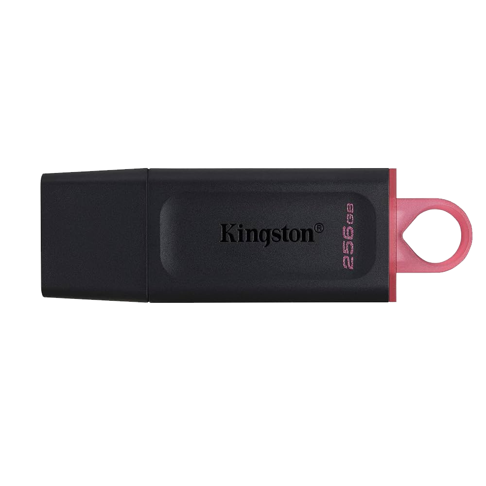 Kingston Exodia DTX 256G USB 3.2 Flash Memory