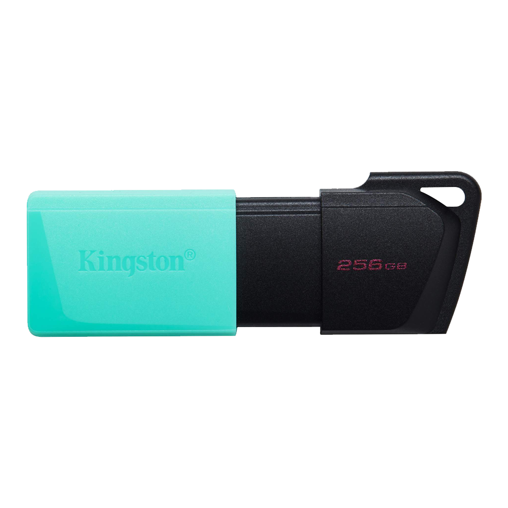Kingston Exodia M 256G USB 3.2 Flash Memory
