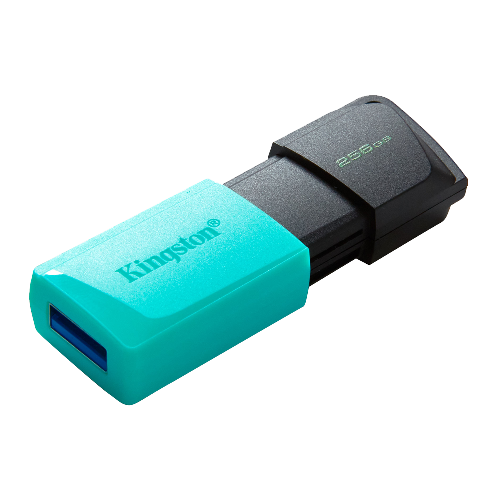 Kingston Exodia M 256G USB 3.2 Flash Memory