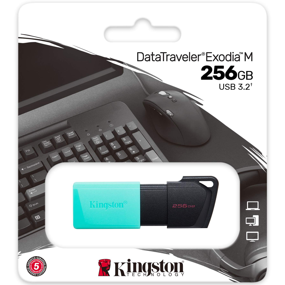 Kingston Exodia M 256G USB 3.2 Flash Memory