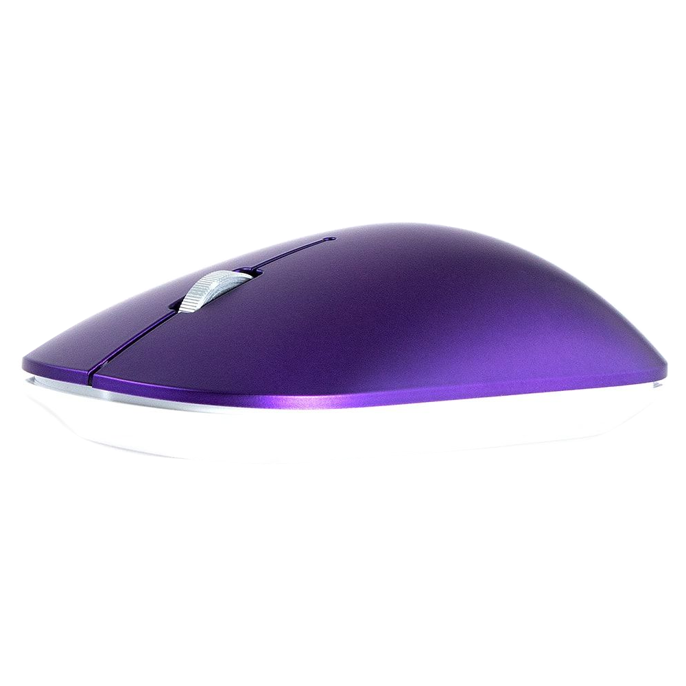 Mouse Wireless 2B MO877