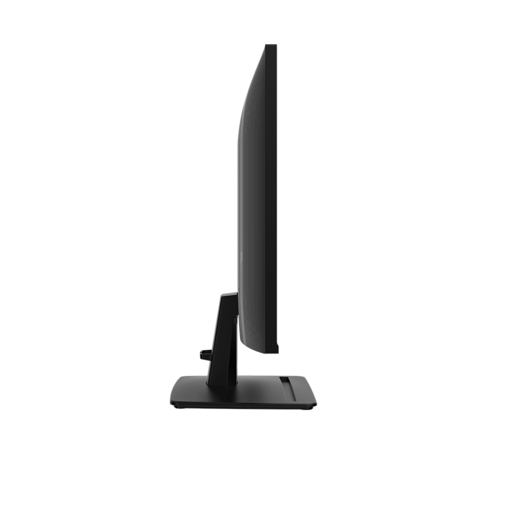 MSI PRO MP251 E2 25 Inch Monitor (Flat IPS - 120Hz) (HDMI - Display - VGA - Audio)