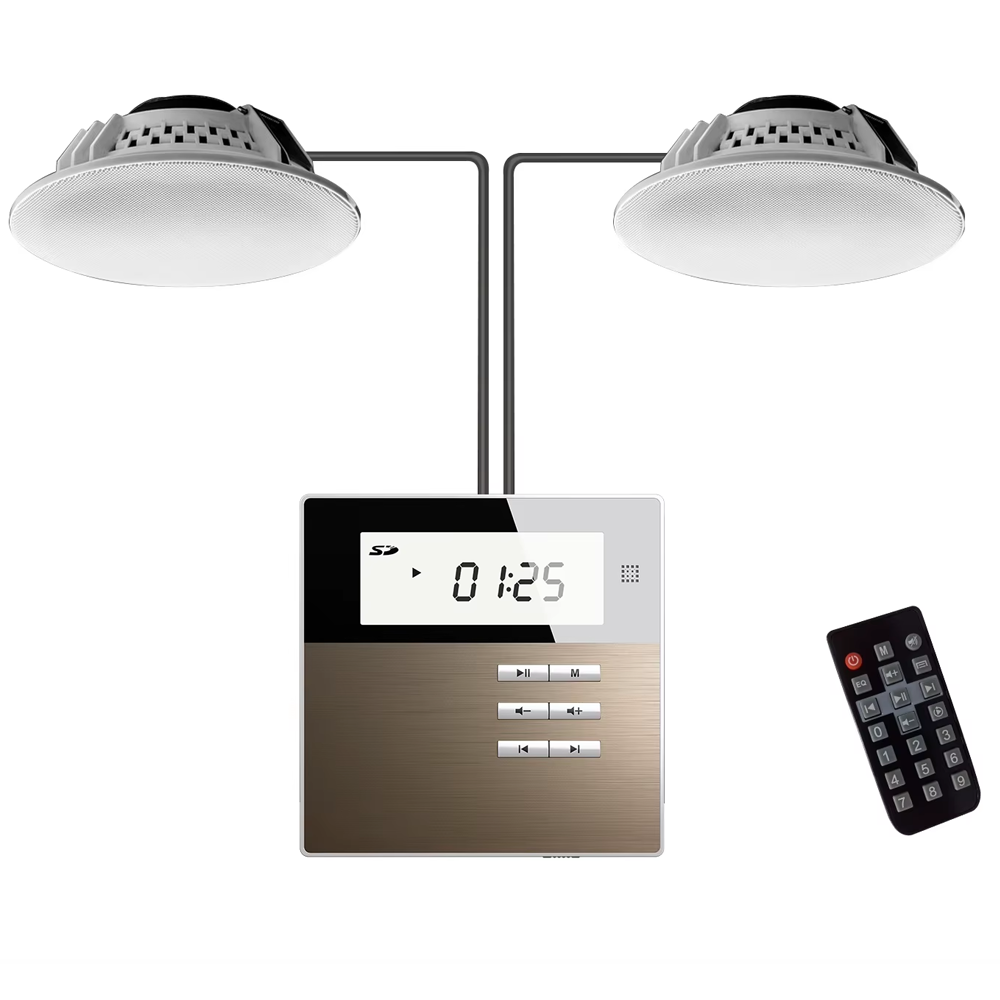 Dsppa M2W Amplifier With 2 Ceiling Speaker