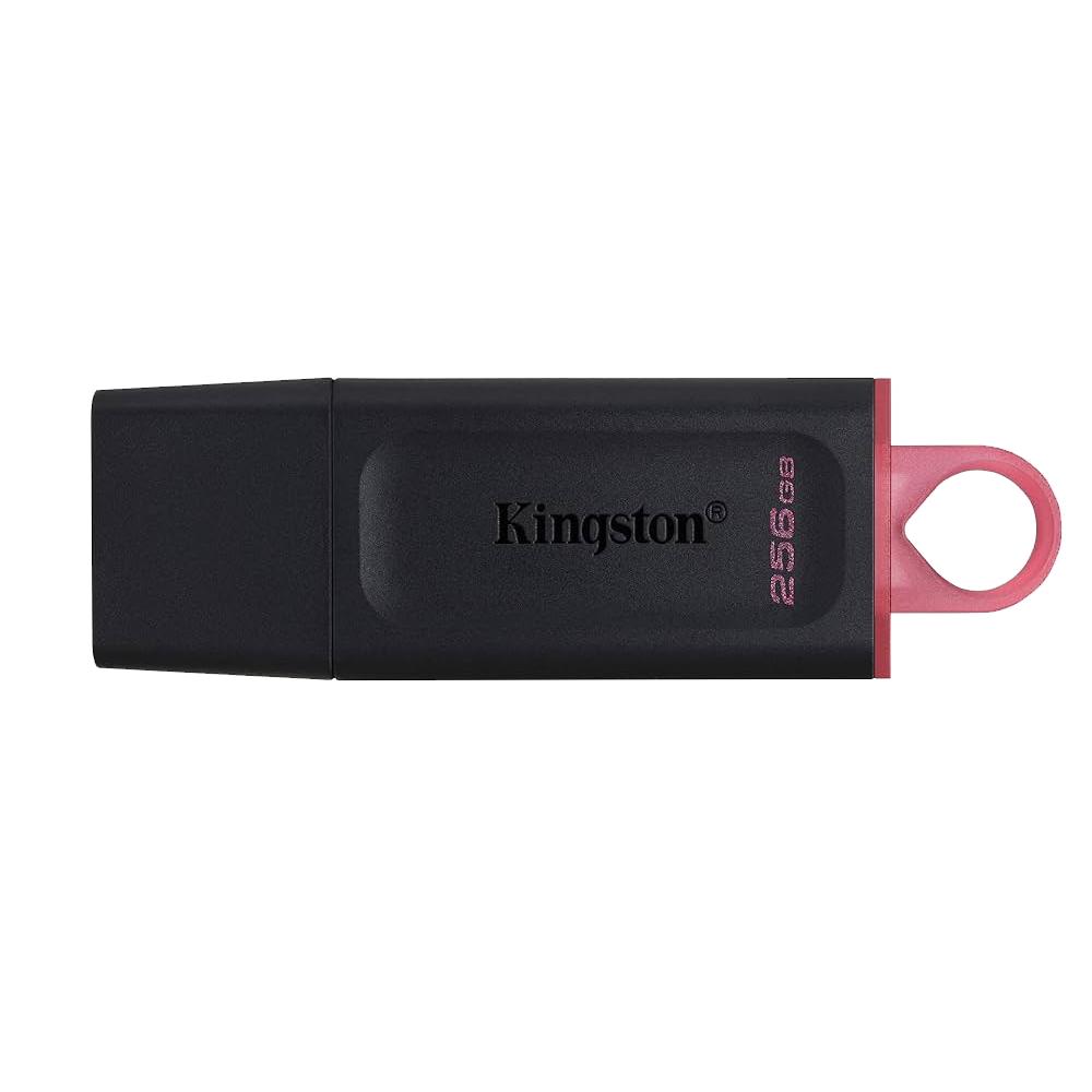 FLASH MEMORY KINGSTON EXODIA 256G USB 3.2