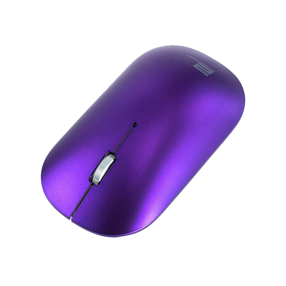 Mouse Wireless 2B MO877