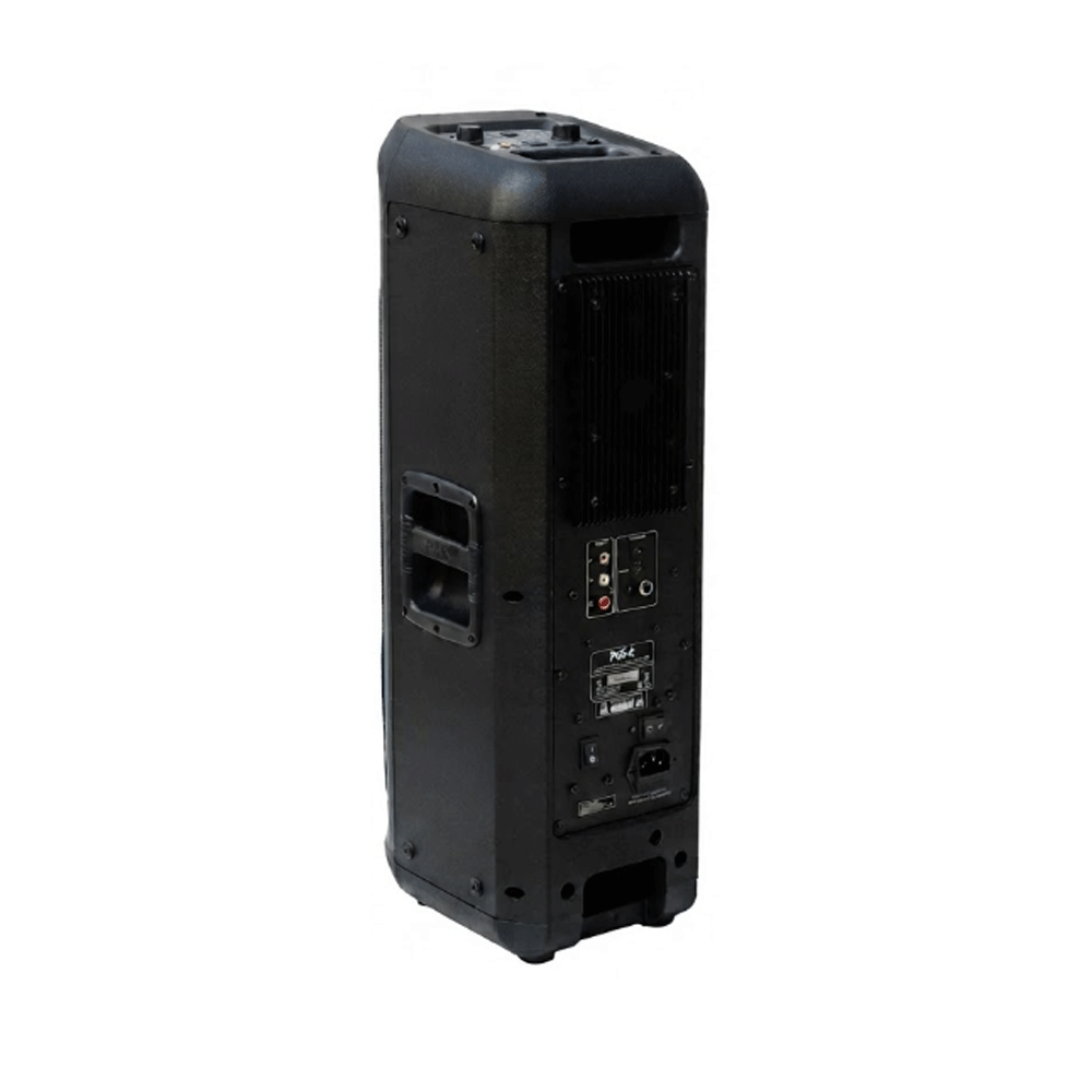 Point PT-8800 8-Inchx2 Portable Party Speaker