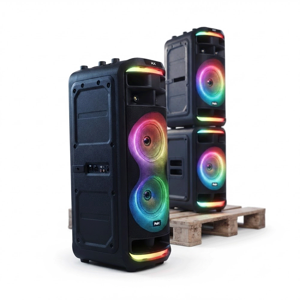Point PT-8800 8-Inchx2 Portable Party Speaker