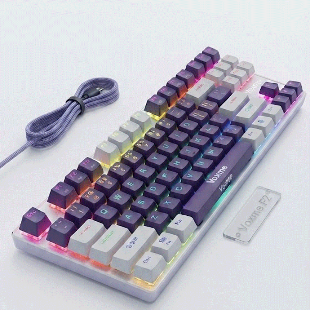 Voxme F2 Blue Switch Wired Type-C Mechanical Gaming Keyboard